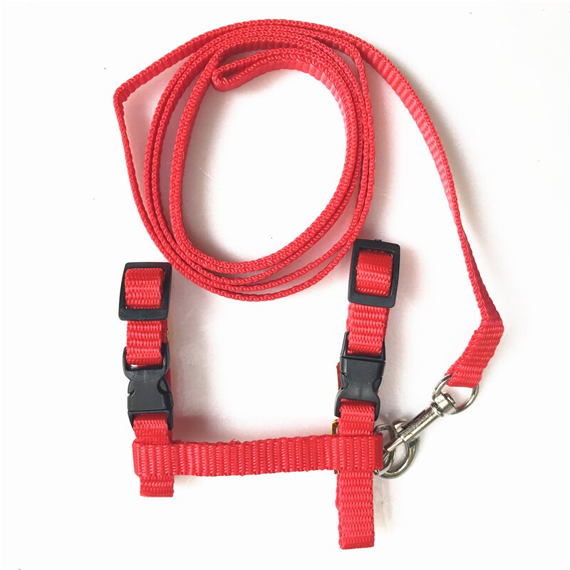 Huisdier kattenhalsband, harnas en riem, verstelbaar van nylon, huisdier tractie, honden- en kittenhalster, halsband voor katten, producten voor katten, huisdier harnas riem