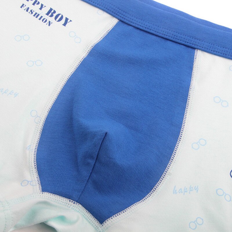 5Pcs/Lot Cotton Children's Underwear Boys Shorts Kid Boy Panties Cartoon Briefs Boxer Underpants Kids Pant 9-16T