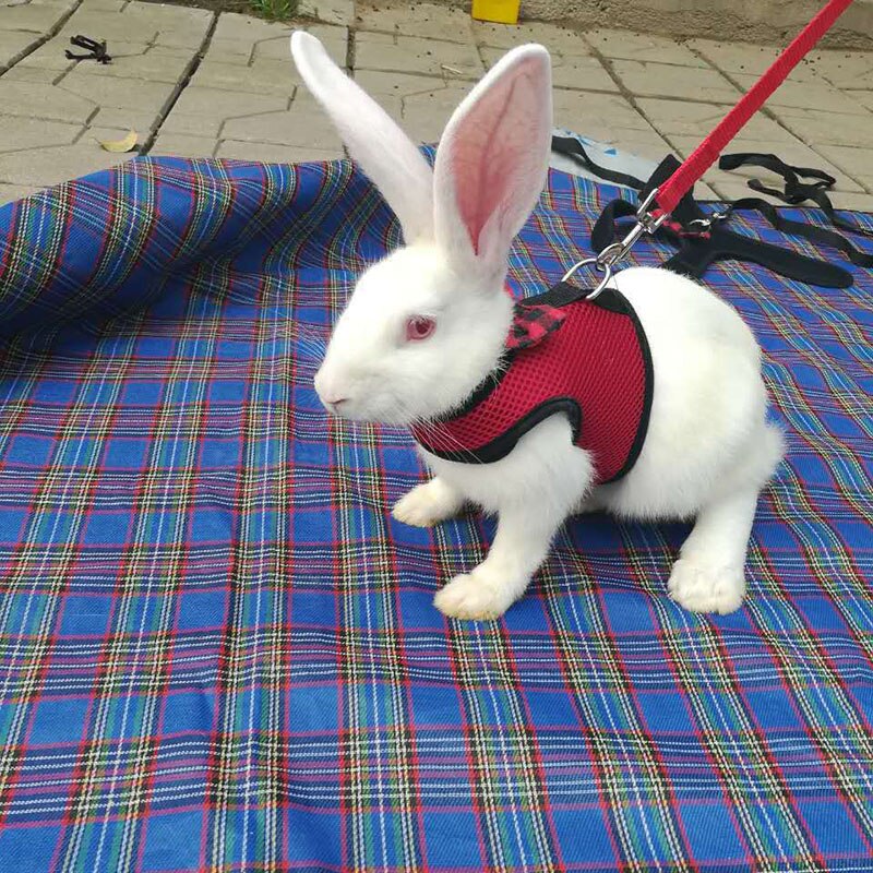 pet vast Rabbits Hamster Vest Harness Bunny Mesh Chest Strap Harnesses Leash Ferret Guinea Pig Small Animals Pets Accessories