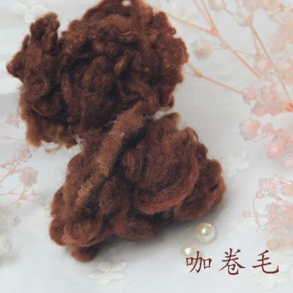 10G Krullend Vilten Wolvezels Naaldvilten Natuurlijke Zwervende Wol Vilten Wol Zachte Wol Fibre Voor Naaldvilten: 10g Coffee