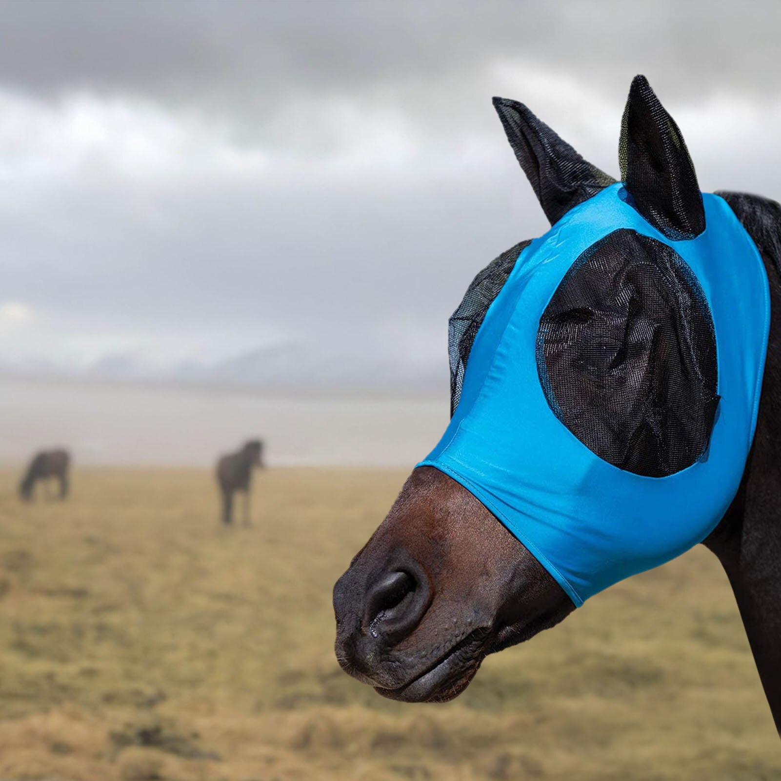 Anti Fly Mesh Equine Mask Horse Mask Stretch Bug Eye Horse Fly Mask With Covered Ears Horse Fly Mask Long Nose With Ears 1PC
