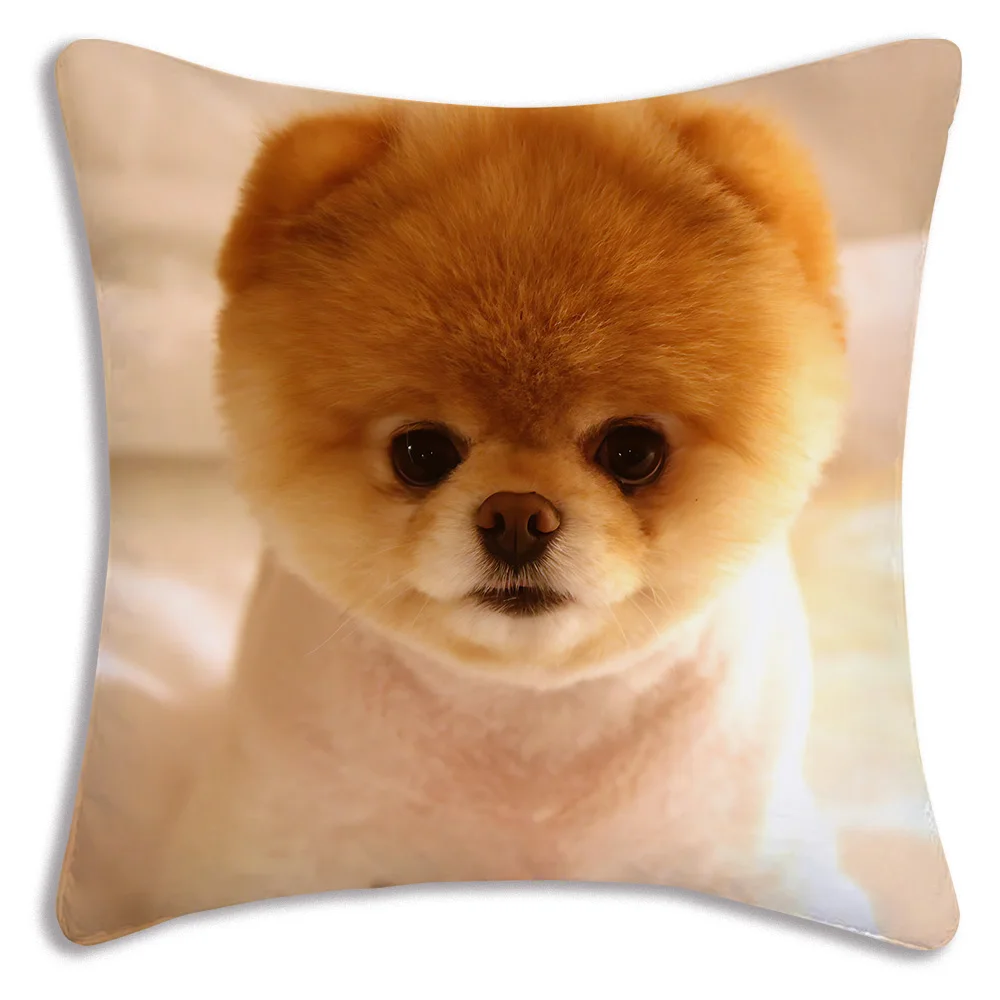 Fodere per cuscini per cani carini Divano dei cartoni animati Federa decorativa per la casa Stampa Fodera per cuscino carina