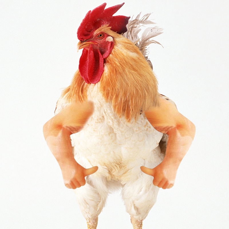 Chicken Arm Toy Gag Chicken Arms Props Chicken Forelimb Decoration Spoof For Pet Themed Party Farm Animal Supplies
