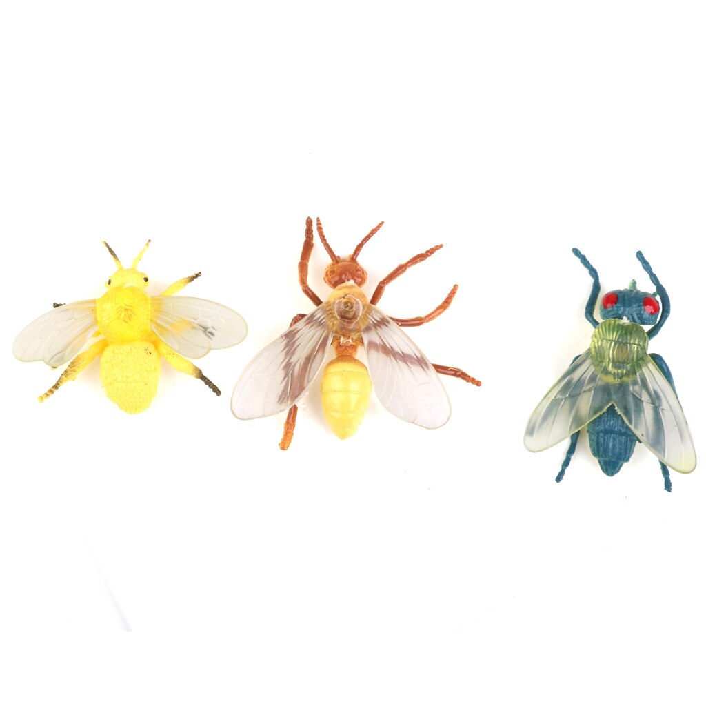 12pcs Plastic Insect Beetle Model Toy Collection Imaginative Education