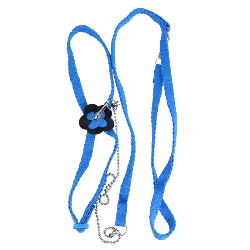 Correa ajustable para pájaros, arnés para exteriores, cuerda de entrenamiento, banda antimordida para entrenamiento de aves y accesorios para palomas: Azul