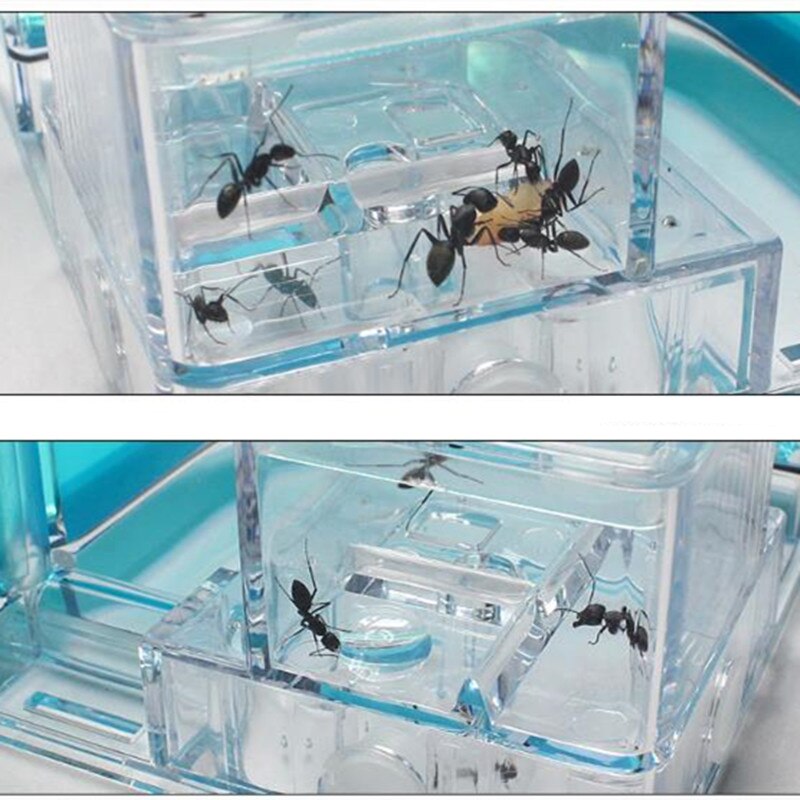 Double layer DIY Acrylic Ant Farm Underground Ant Nest Ant House with Feeding Area Pet Anthill Workshop Castle