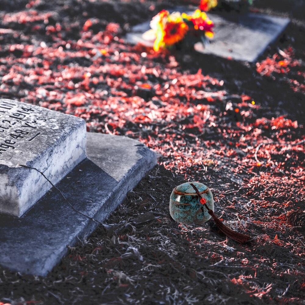 1pc aspotten voor huisdieren, praktische asdoos voor huisdieren, keramische aspot voor huisdieren