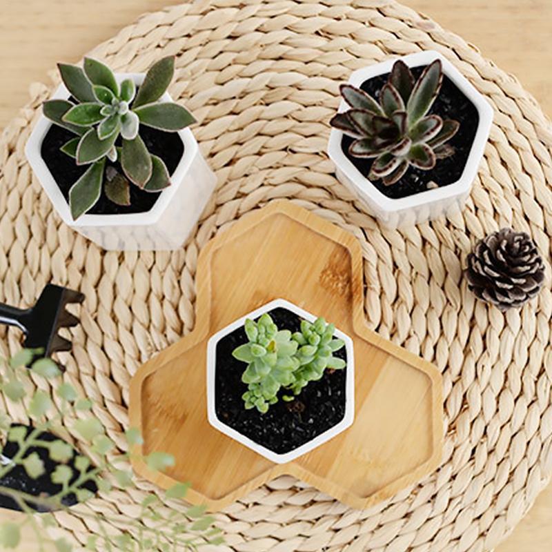 Succulent Flower Pot Fleshy Plants Hexagonal Pottery Innovative White Ceramic Bonsai With Bamboo Tray Home Decoration