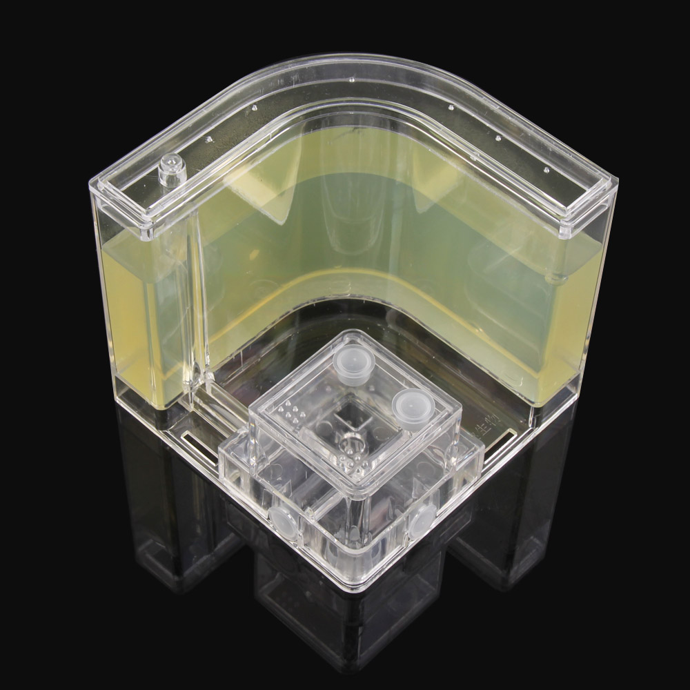 Hormigas acrílicas 3D para granja de hormigas, accesorios educativos de decoración, caja de hormigas mundial: YELLOW