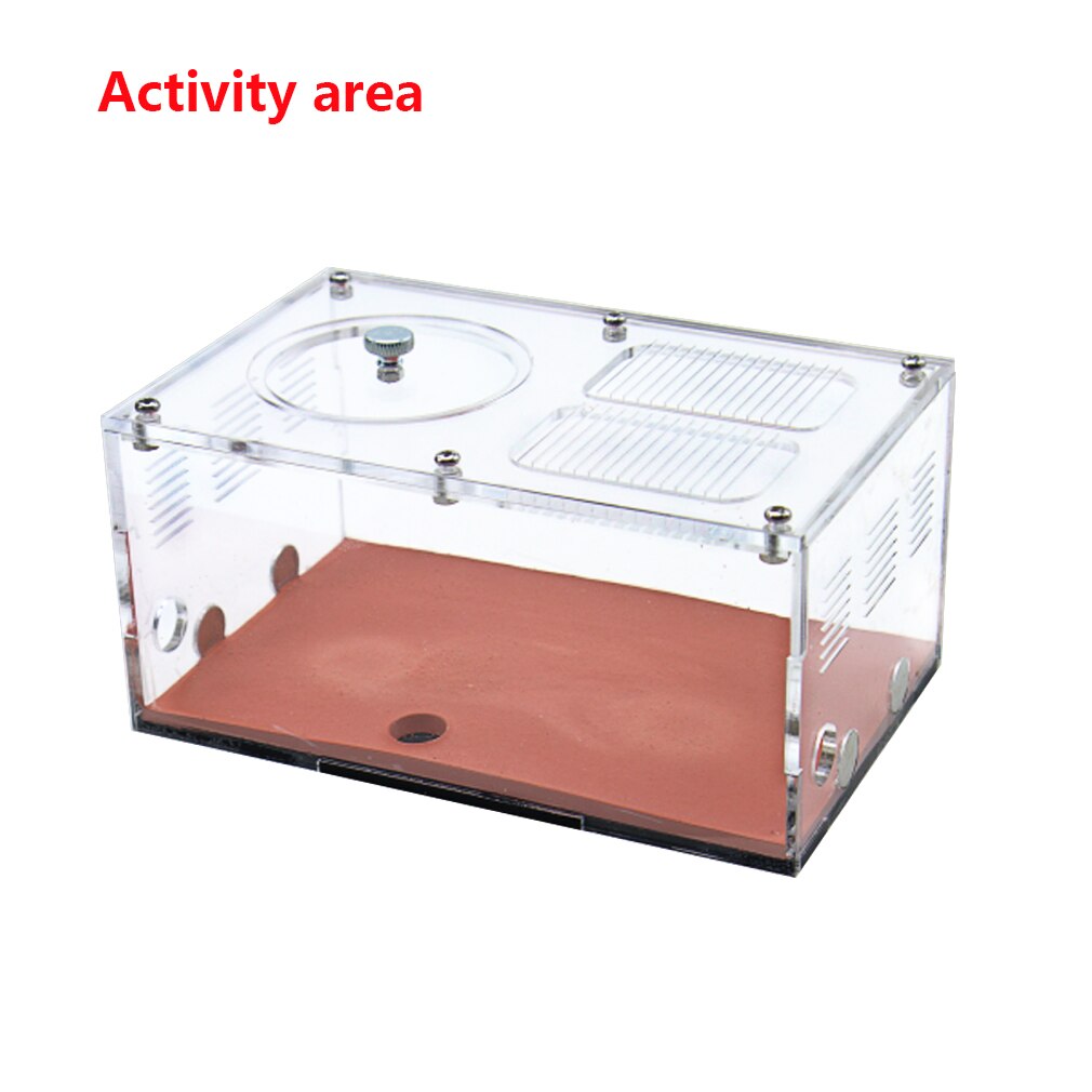 Acryl Ant Farm Temperatuurregeling Beton Ant Nest Oneindige Uitbreiding Insect Huis Kolonie Drinker Anthill Kit Accessoires: Activity area