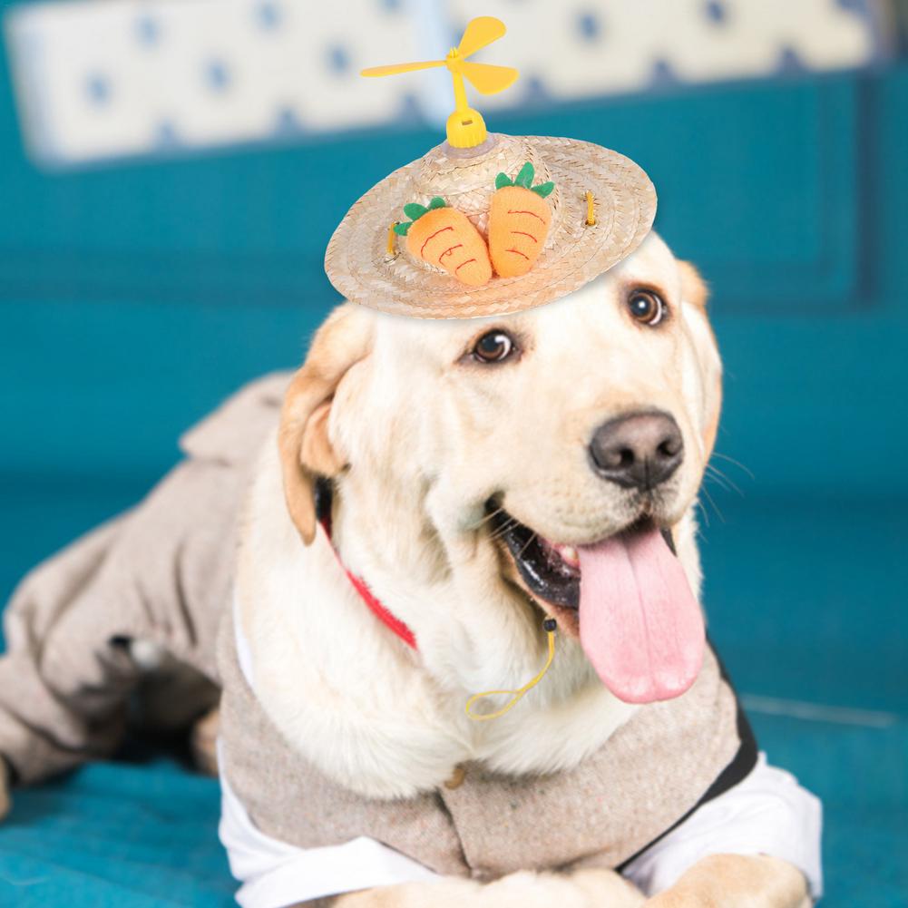 canna sombrero cappello mini elica carina cappello intrecciato cappello secchiello per cani di piccola taglia media Costum accessori per animali domestici puntelli fotografici