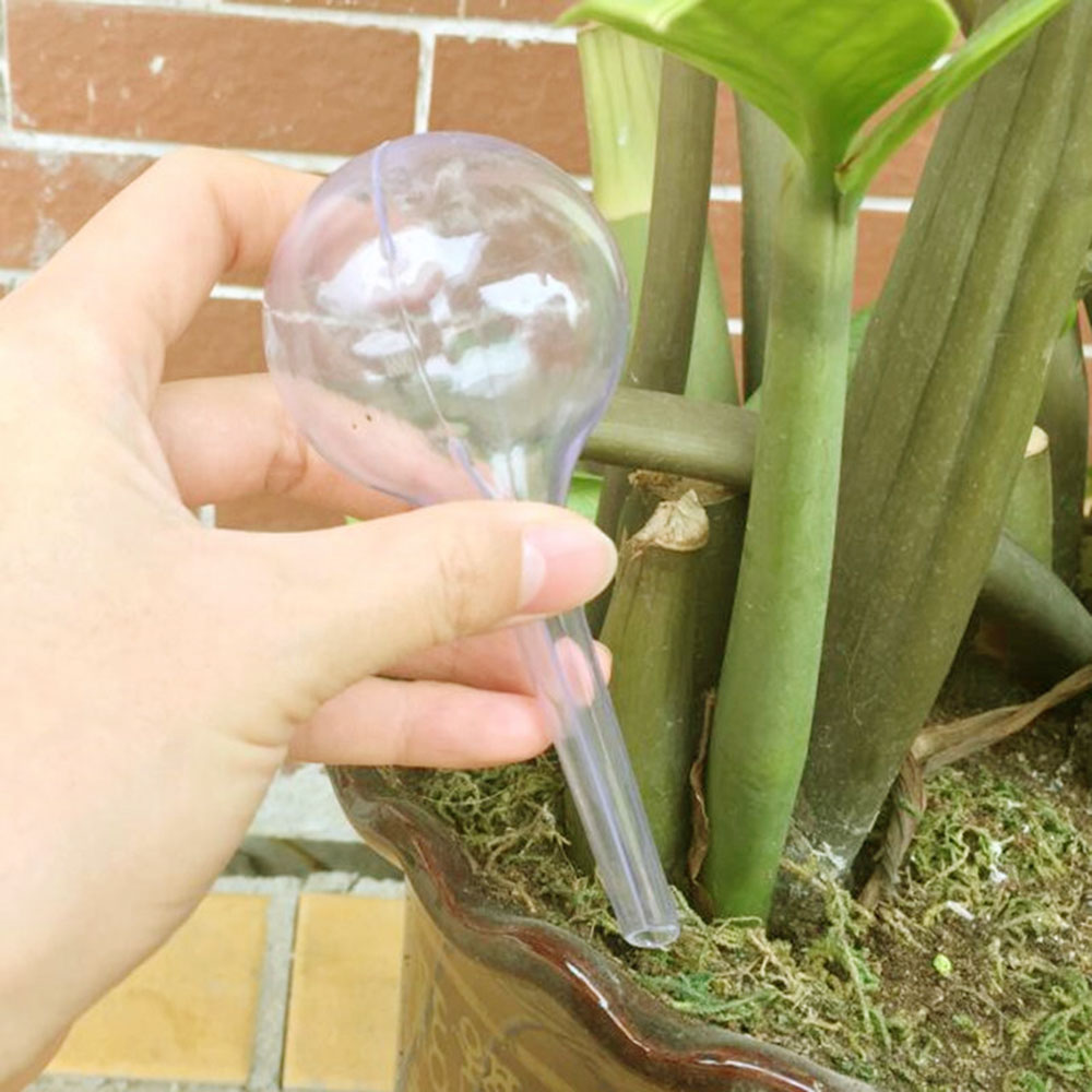 Boîtes pour arrosage automatique des plantes et fleurs en plastique distributeur d'eau, boule en PVC, outil pour arrosage automatique des plantes, jardin et maison