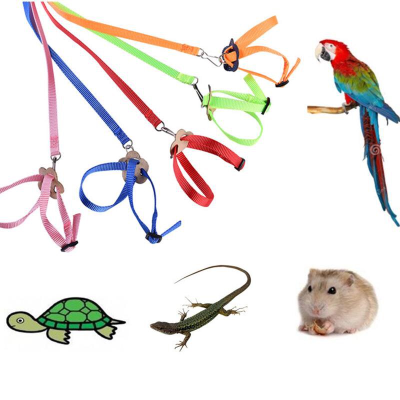 Colorful Parrot Bird Collar Harness Adjustable Hamster Turtle Lizard Traction Rope Reins 8-shaped Collar Pet Strap Leash