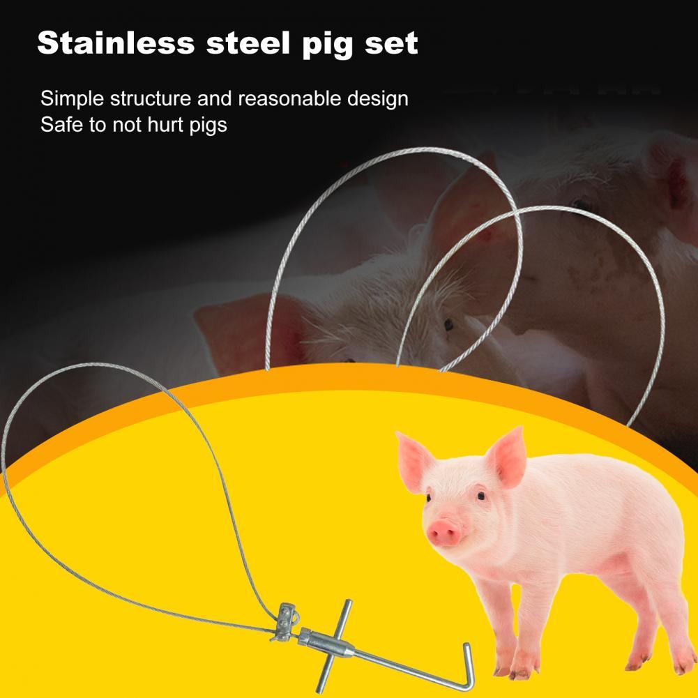 Pig Catcher Adjustable Labor-saving Corrosion Resistant Stainless Snare Pig Catcher for Farm Pig Catcher domestic animal Catcher