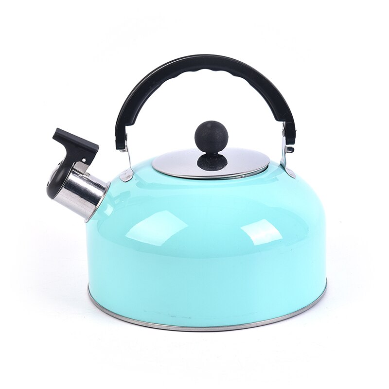 3L Sky Blue Whistling Kettle For Gas Stove Bouilloire 3L Stainless Steel Whistle Tea Kettle Water Bottle