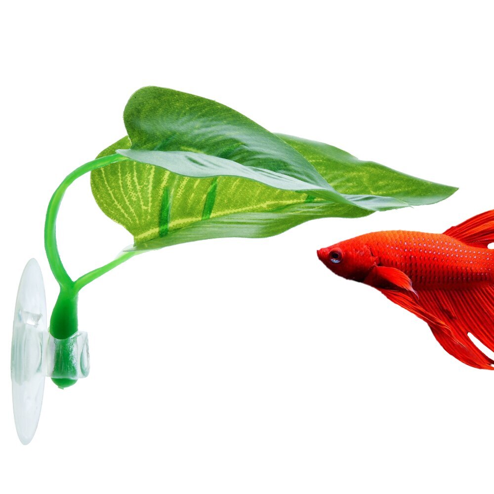 Aquariumdecoratie, aquariumdecoratie, betta visblad, aquariumlandschap, plastic zuignap, betta hangmat: C