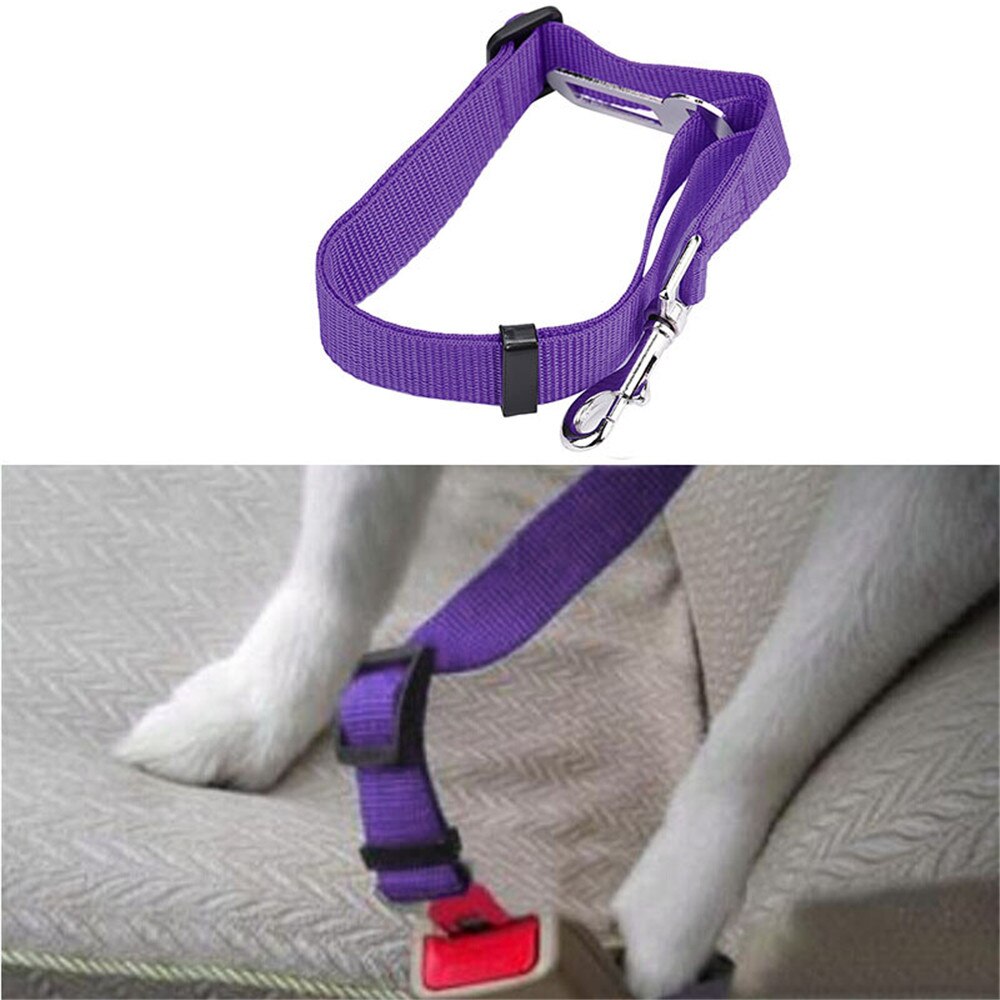 Vehículo para cinturón de seguridad de coche cinturón de seguridad arnés plomo Clip Gato perro seguridad tela de Nylon perro y gato seguro sentarse ajustable @ 01