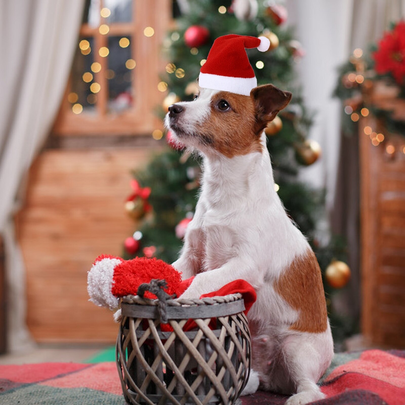 Kat Hond Kerst Xmas Rode Kostuum Christmas Santa Hoed Xmas Party Decoratie Huisdier Kerst Puppy Kitten Hoed