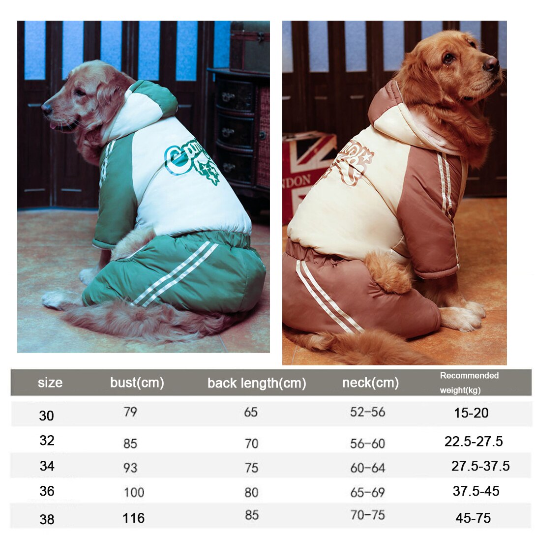 Trui met intarsia-gebreide hond voor jongens | Ralph Lauren® NL