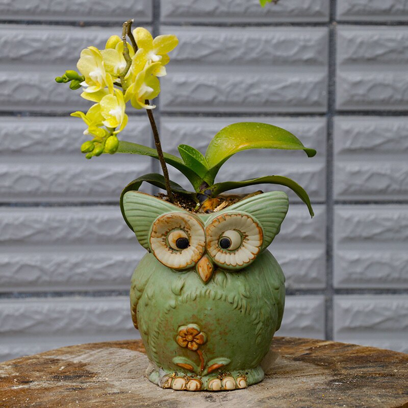Maceta de cerámica con dibujos en forma de búho para plantas suculentas, decoración del hogar, de estilos aleatorios de plantas en macetas