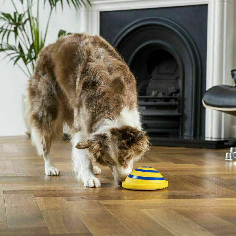 Sounding Disc Woof Glider Soft & Safe Indoor Play Toy Pet Dogs Toy Entertainment Pet Play Accessories Toy