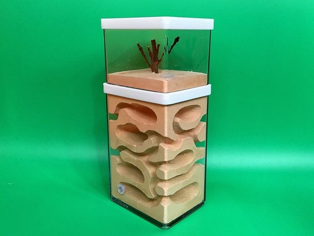 Fourmilière en plâtre avec zone d&#39;alimentation WY707, ferme à fourmis naturelle, grand nid , château d&#39;insectes, atelier pour animaux de compagnie, fourmilière
