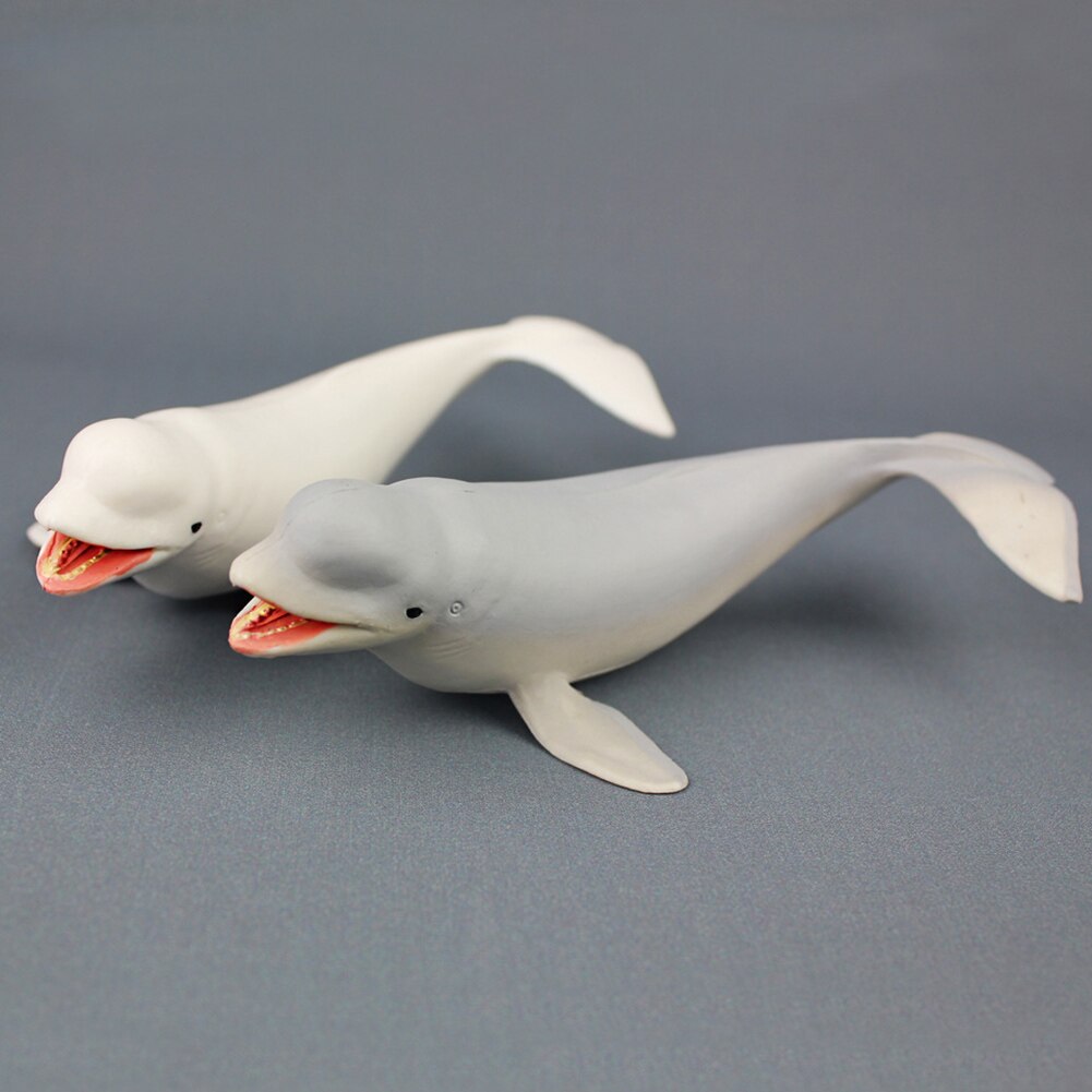 Leuke Beluga Witte Walvis Model Zee Leven Dieren Lifeliketoys Collecties Slaapkamer Decor Kinderen Kids Eduacational