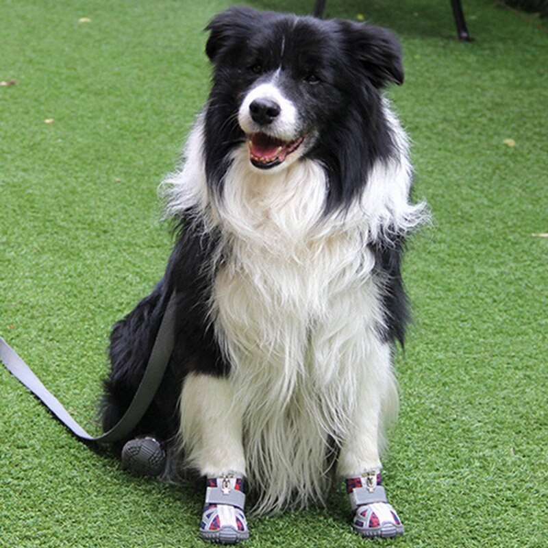 4 pièces/ensemble chaussures pour animaux de compagnie respirant fond souple antidérapant réfléchissant respirant maille chien bottes pour chat petits chiens toutes les saisons