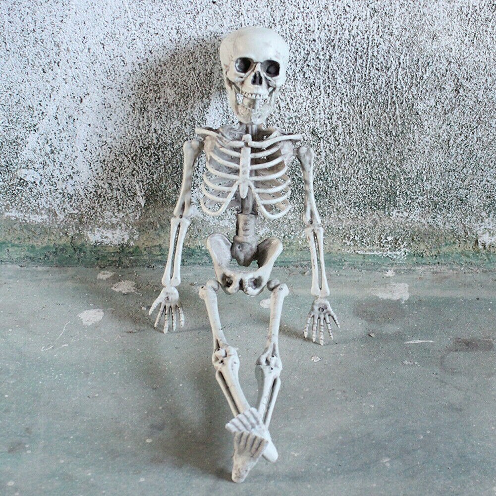 Försäljning halloween poseable livsstil skelett party prop dekor mänsklig anatomi modell: Default Title