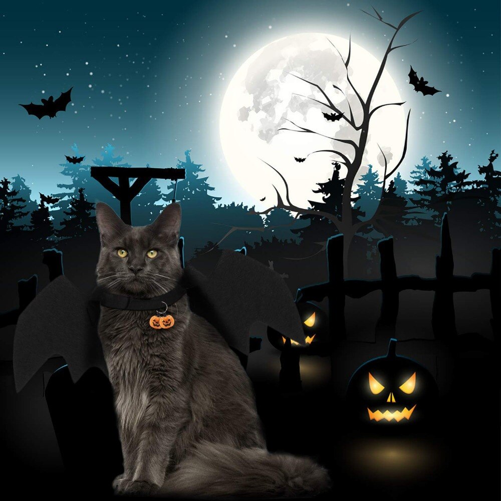 Halloween Kat Vleermuis Vleugels Kraag Harnas Decor Puppy Pet Kat Zwarte Vleermuis Jurk Up Funny Wing Cat Kleding Accessoires Kerst