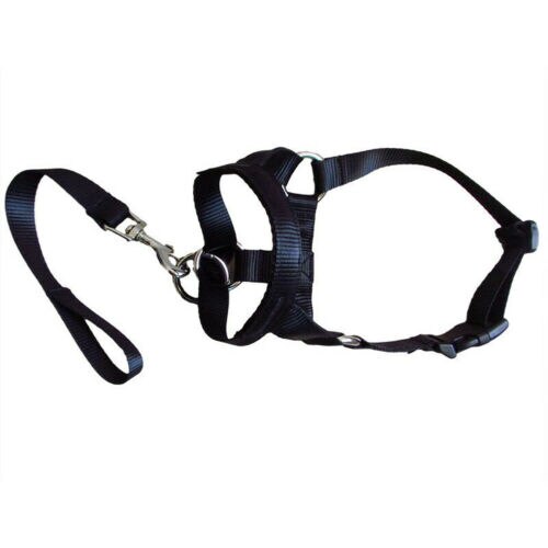 Au Dogalter Hond Halter Halti Training Hoofd Kraag Gentle Leader Harnas Nylon