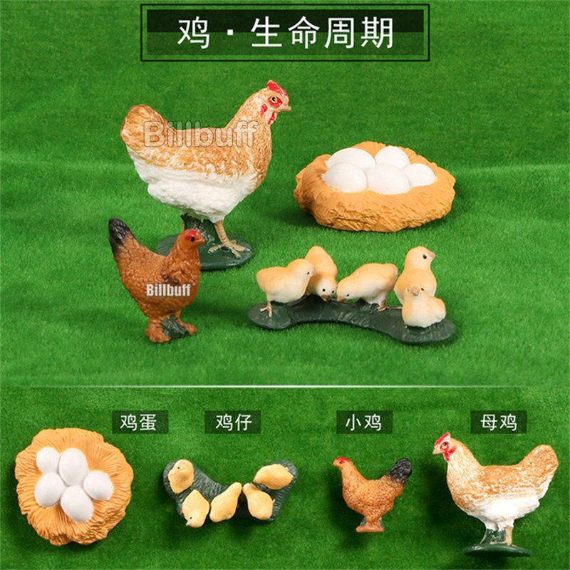 Simulatie Pluimvee Dieren Model Kip Haan Turkije Actiefiguren Vroege Educatief Speelgoed Voor Kinderen Kerst Cadeau: chick figures q