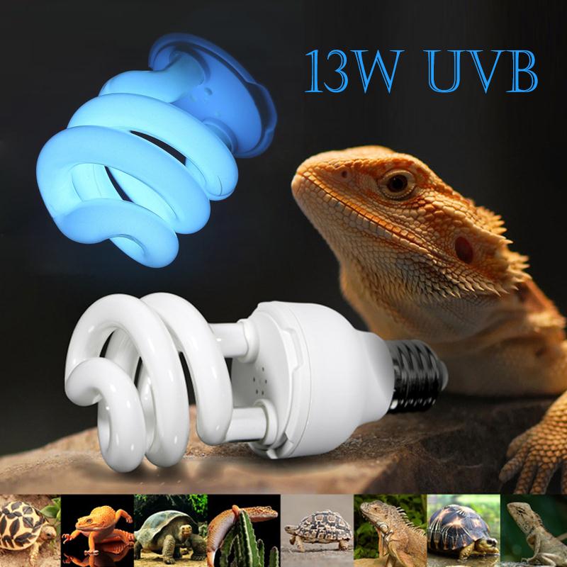 E27 Outdoor Bearded Dragon Accessories Reptile Heat Lamp Light UV Multi-Kitty Reptile Supplies E27 Reptile Lamp