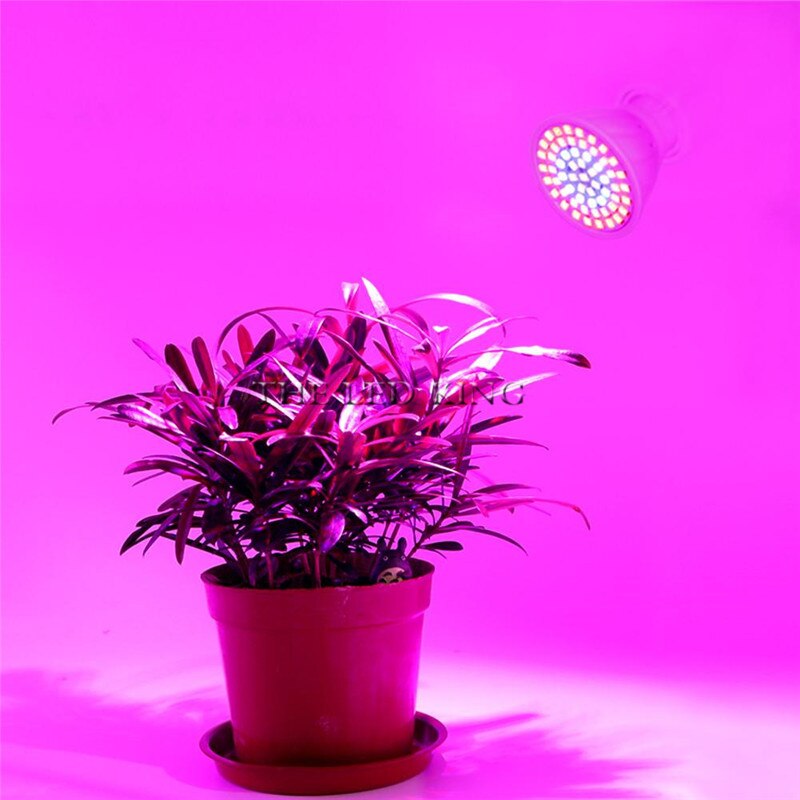 80 led plantengroeilamp lamp verlichtingsset bureauklem houder voor bloemen groente 200 zaden kas hydro aquarium