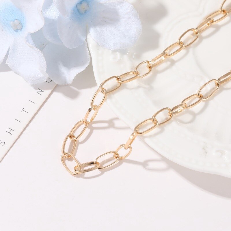 Metal Chain Clavicle Chain European and American Style Neck Chain Necklace Simple Clavicle Necklace Chunky Collares Jewelry