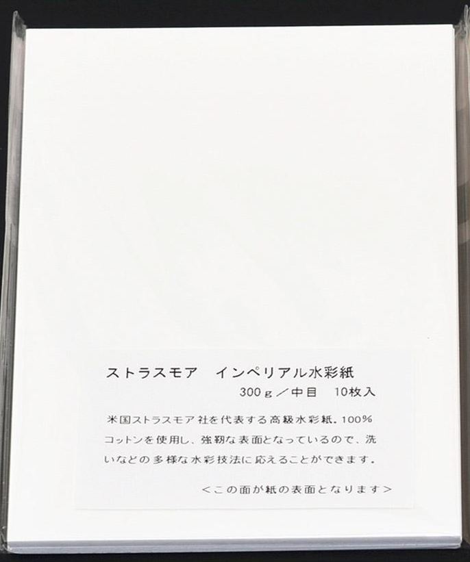 Holbein akvarell målarpappersset 300 gsm 218 gsm 80 ark japan 100 x 150mm