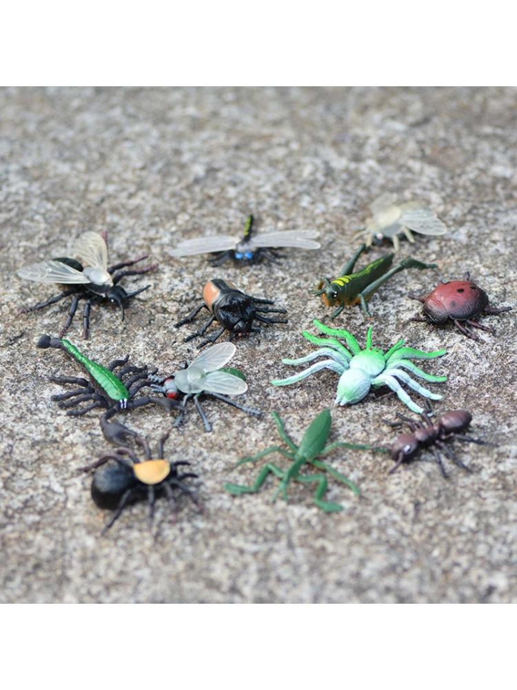 8Pcs/12Pcs Simulatie Statische Insect Model Ornamenten Set Realistische Vlinder Kind Educatief Prop Scene Decor Kids Speelgoed