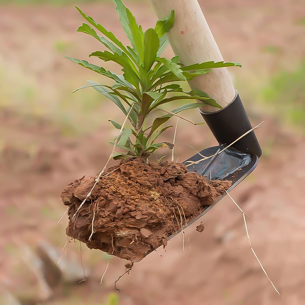 Kleine Schoffel Voor Het Graven Van Grond Tuin Schoffel Huishoudelijke Landbouw Gereedschappen Voor Het Planten Van Groenten En Bloemen