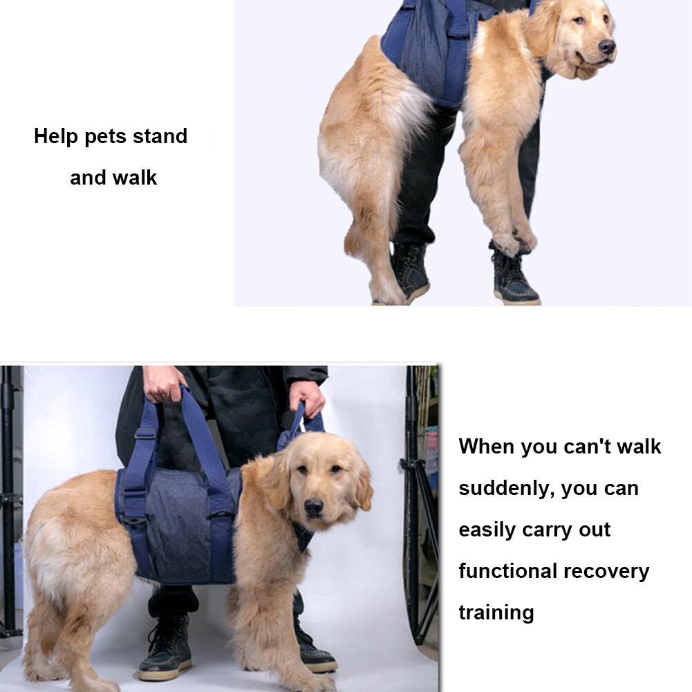 Auxiliary Belt Adjustable Back Harness Stand Up Health Care Disabled Legs Dog Lift Sling Pet Supplies Senior Injured Hip Support