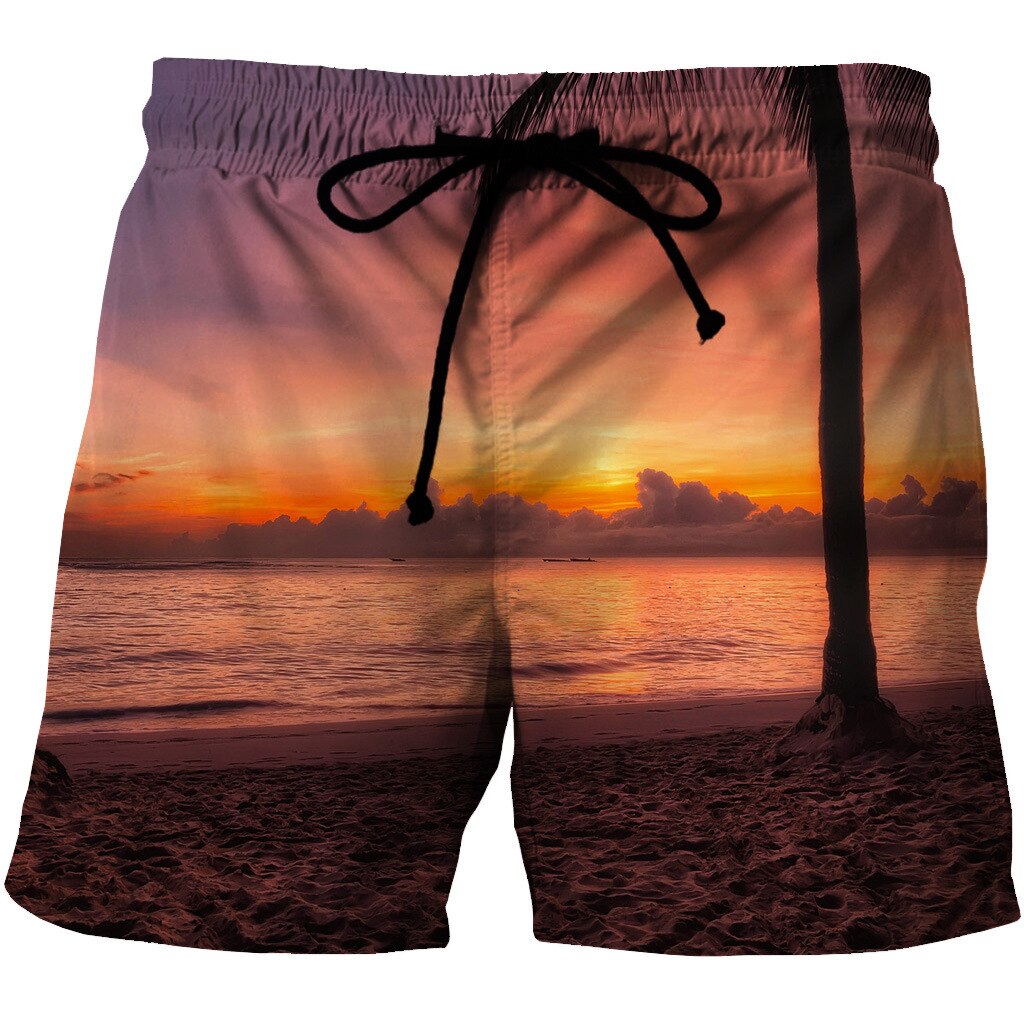 Pantalones cortos holgados de playa para hombre, Shorts de secado rápido para tabla de Surf, bañadores de Surf de S-6XL, ropa de playa de gran tamaño para deportes acuáticos: TYSTK-LD00025 / 5XL