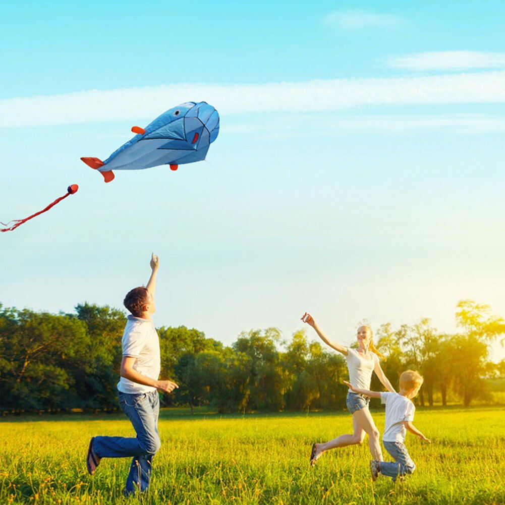 3d riesige delfin-drachen, weiche gleitschirme, riesiger blauer drachen, outdoor-sport, delfine, drachen fliegen, spielzeug, einfach zu fliegen, sportdrachen, fallschirm