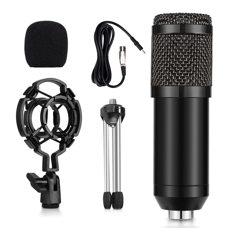 SAMTIAN microphone BM 800 mic studio microphone condenser Stand Vocal Record KTV Karaoke Microphone For PC Computer: Black mini version