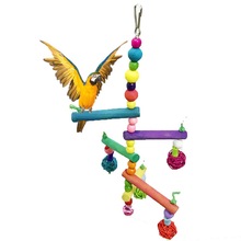 Échelle d'escalade en bois coloré, oiseau, perroquet, balançoire suspendue, jouet pour perruches, perruche, Conure de calopsitte, Lovebird, gris africain