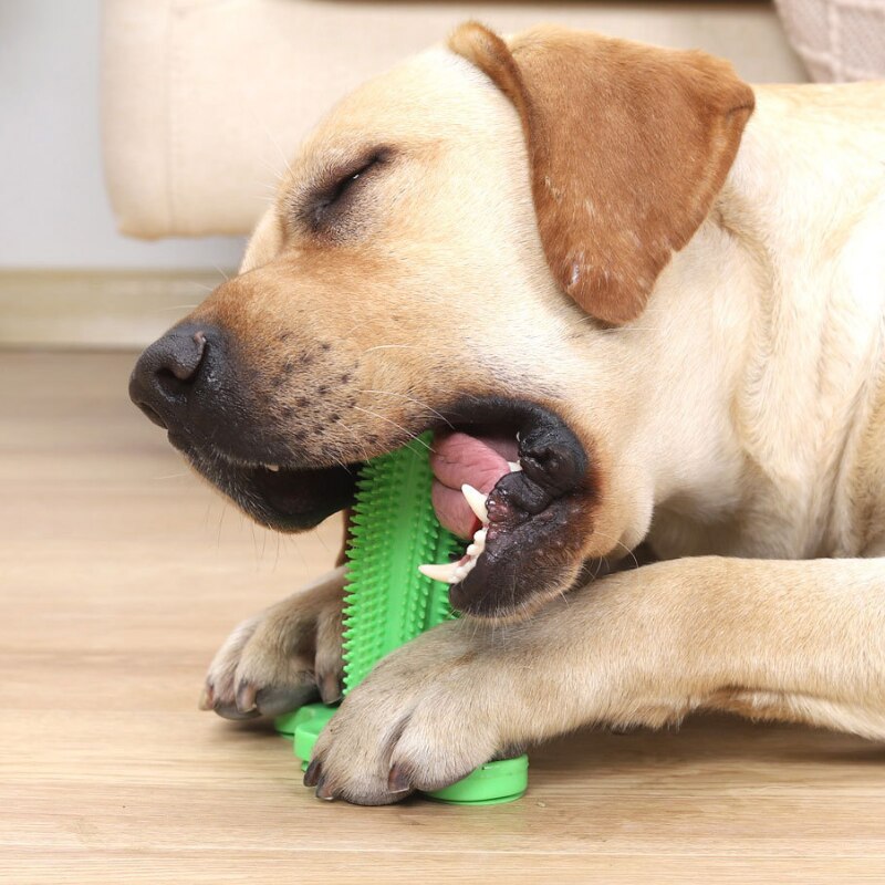 Hond Tandenborstel Speelgoed Voor Honden Interactieve Feeder Speelgoed Training Iq Tanden Reinigen Kleine Medium Grote Hond Puppy Kauwen PT032