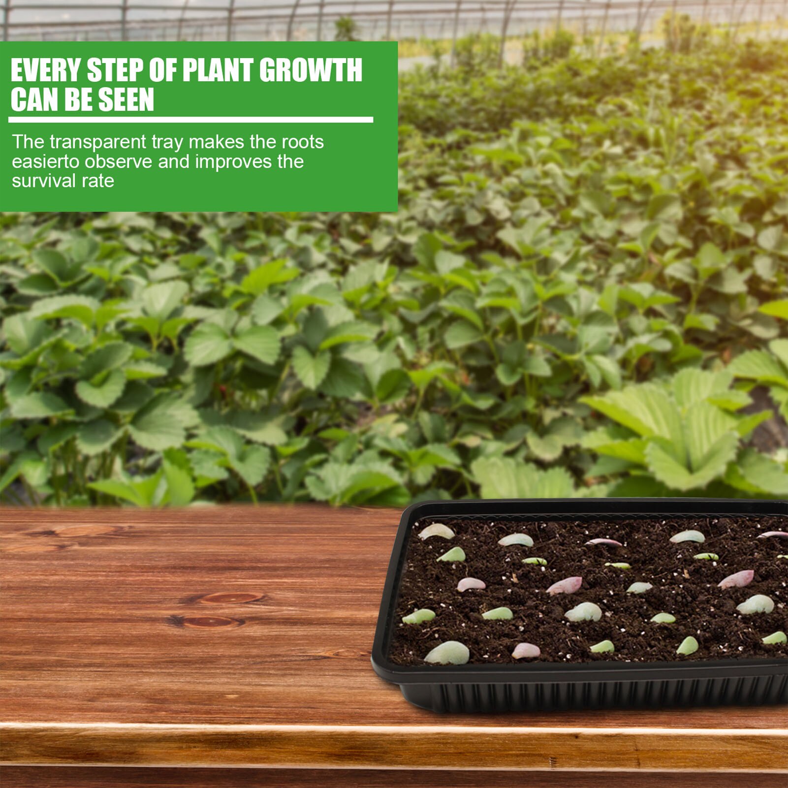 10PCS Plastic Seedling Tray NoDrain Holes For Greenhouse Plant Germination Nursery Pot Tray Succulent Vegetable Grow