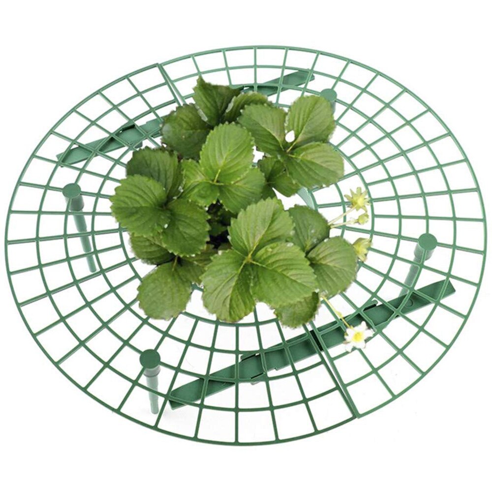 szklarnie doniczki ogrodowe i donice stojak na kwiaty stojak na truskawki 5/10/20 sztuk truskawka stojak uchwyt ramki balkon sadzenia stojak na owoce wsparcie roślin kwiat wspinaczka winorośli filar ogrodnictwo stojak