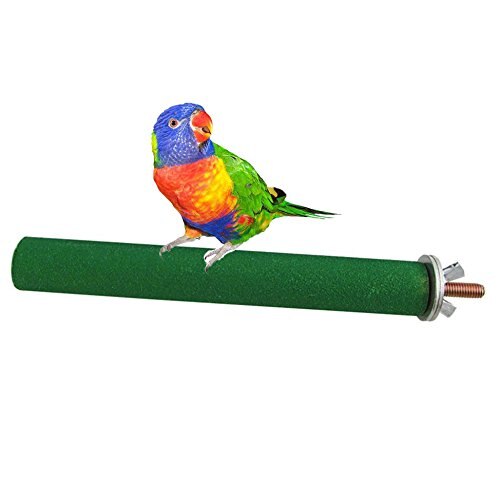 Percha de madera con soporte para jaula de pájaros, juguete de molienda para pájaros, loros, guacamayo, periquitos, cacatúa, Conure, Lovebird, pinzón