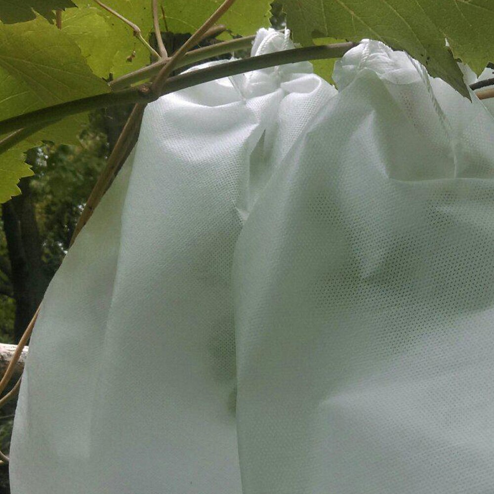 100 sztuk włókniny worki winogron owoce i warzywa przeciw zamarzaniu, muchy, ptaki, pszczoły przeciwdeszczowe przezroczysty ochronny rękawy