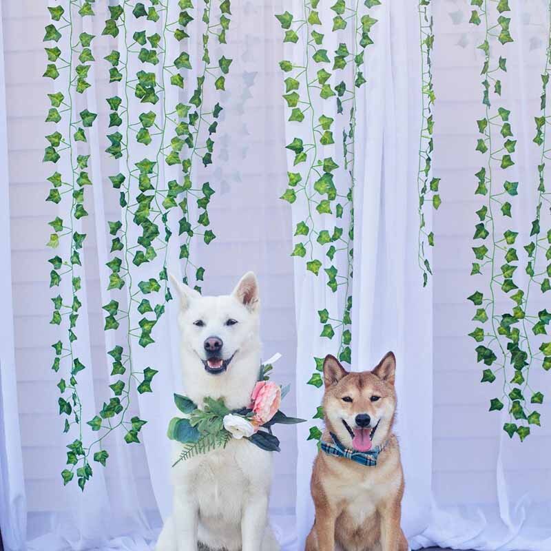 rustic garden Wedding arch backdrop bridal shower Bride To Be Bachelorette Hen Party Christmas table centerpiece Decoration Leaf