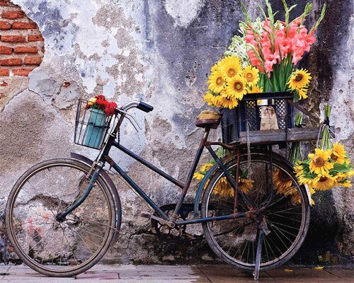 Evershine målning efter siffror kit handmålad cykel ritning canvas vuxen nummer målning väggkonst heminredning: Szes -278